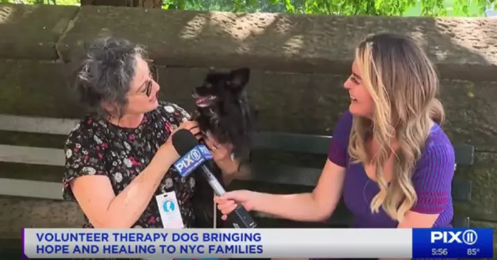 Hospice dog and owner being interviewed by PIX 11